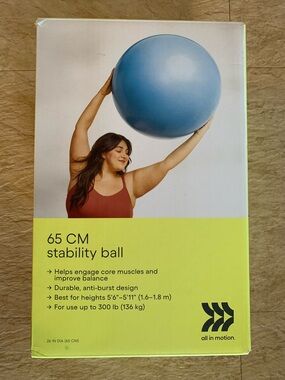 all in motion Light Blue 65 CM Stability Ball